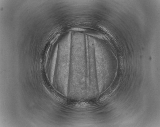 X0000070830451200607071746