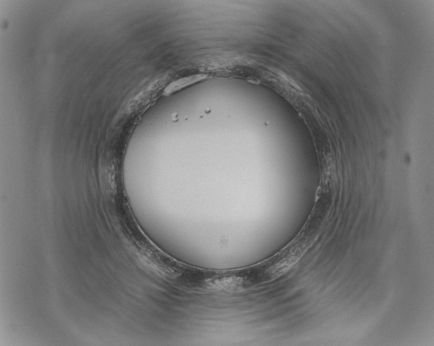 X0000070830452200607071746