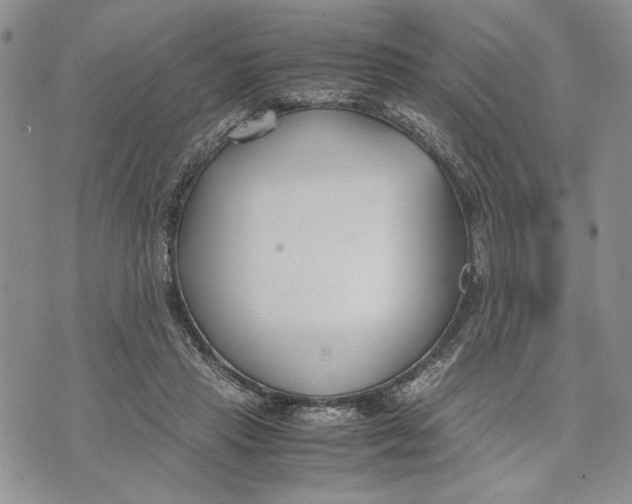 X0000070830453200607071746