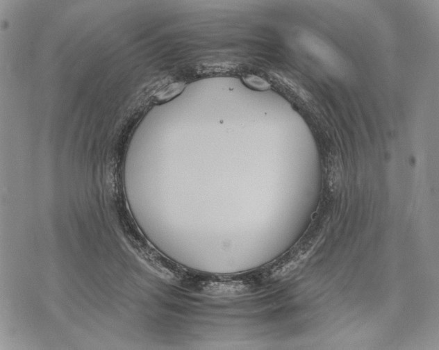 X0000070830455200607071746