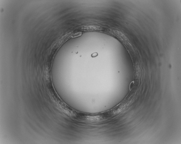 X0000070830457200607071746