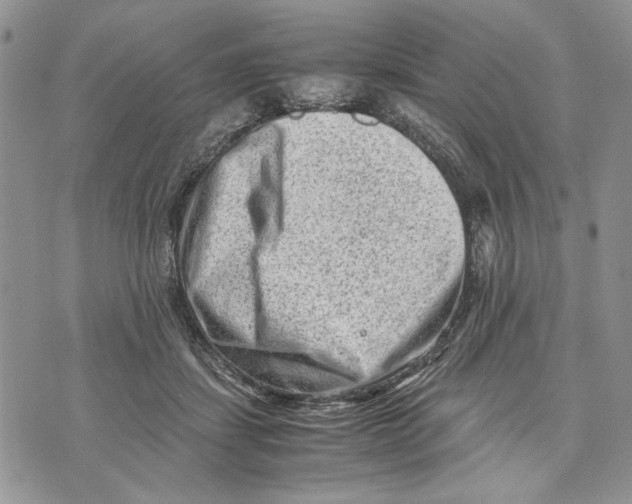 X0000070830459200607071746