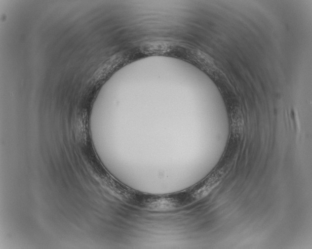 X0000070830460200607071746