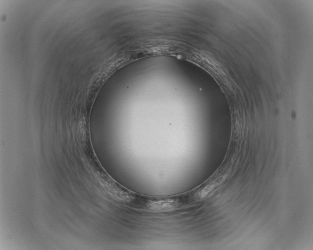 X0000070830461200607071746