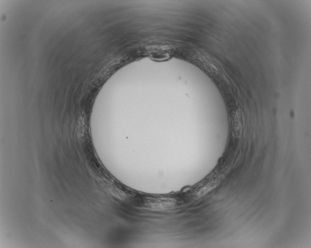 X0000070830463200607071746