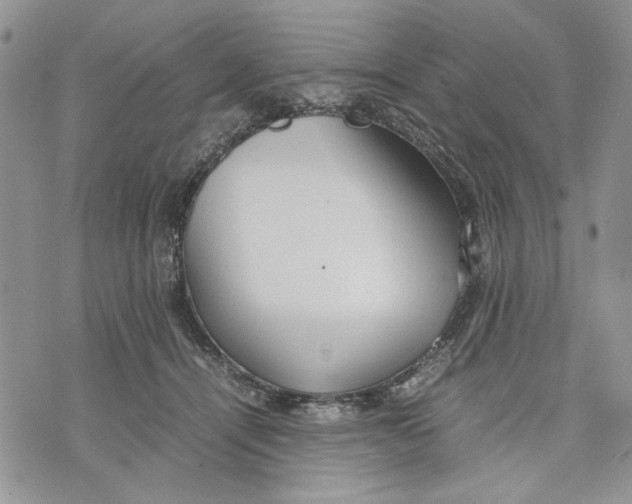 X0000070830464200607071746