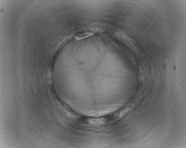 X0000070830465200607071746