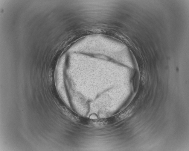 X0000070830466200607071746