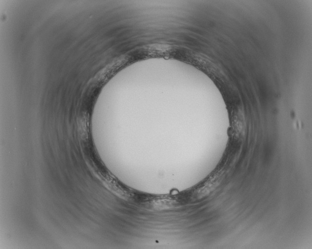 X0000070830468200607071746