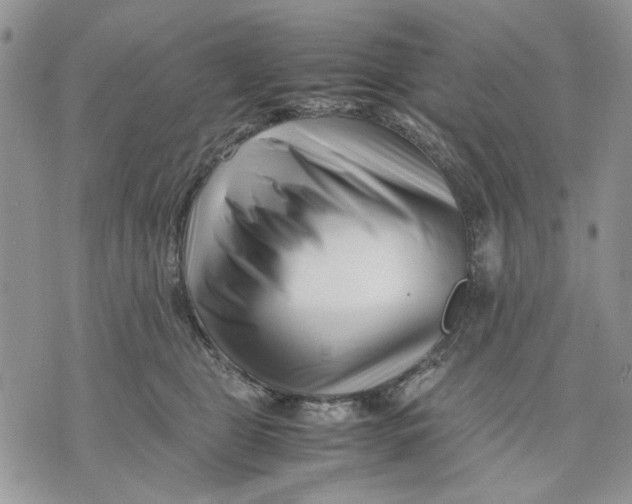 X0000070830469200607071746