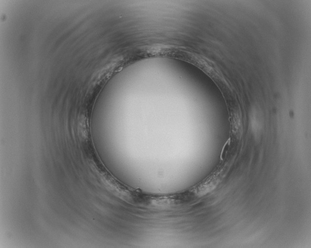 X0000070830470200607071746