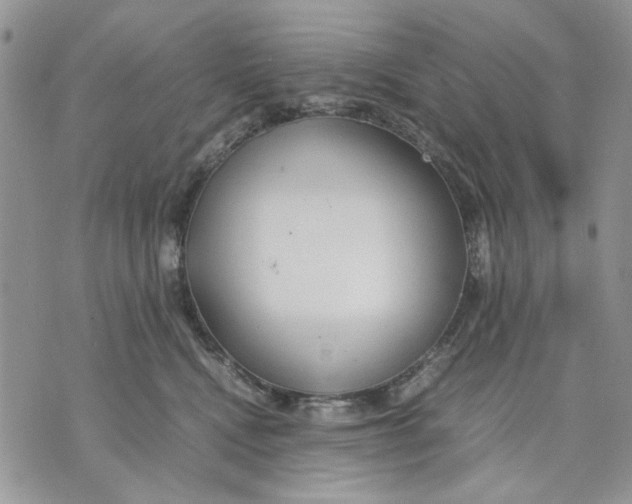 X0000070830472200607071746