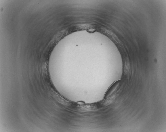 X0000070830473200607071746