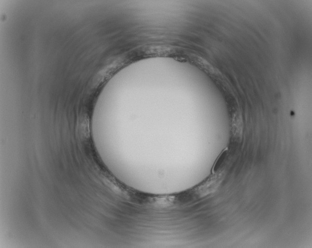 X0000070830474200607071746