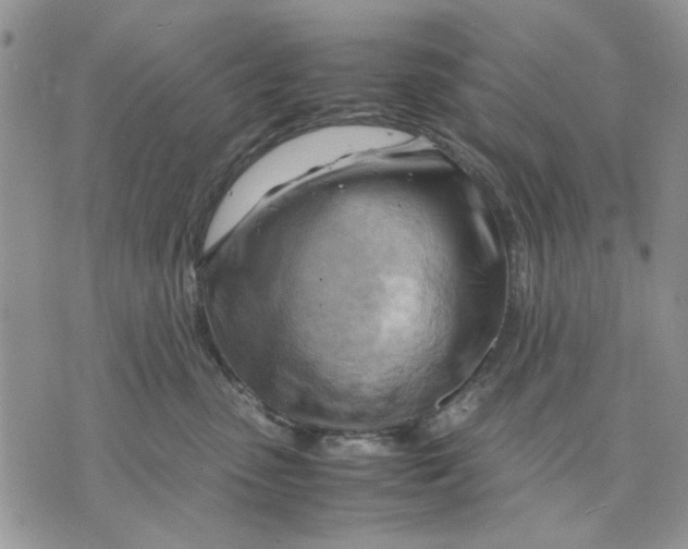 X0000070830475200607071746