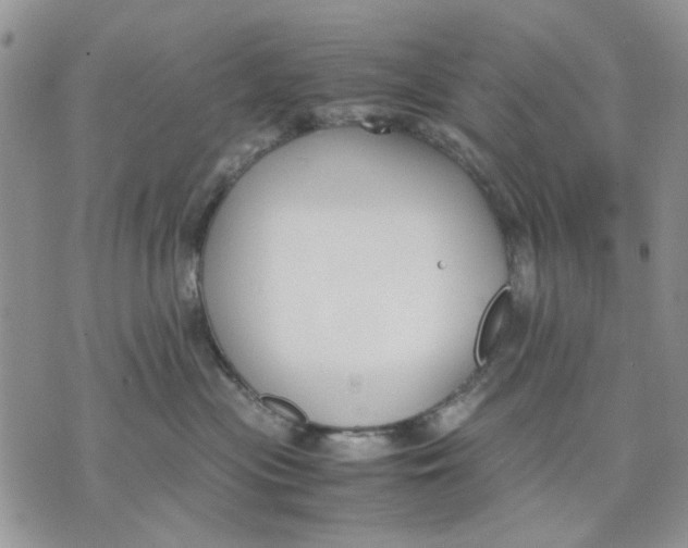 X0000070830477200607071746