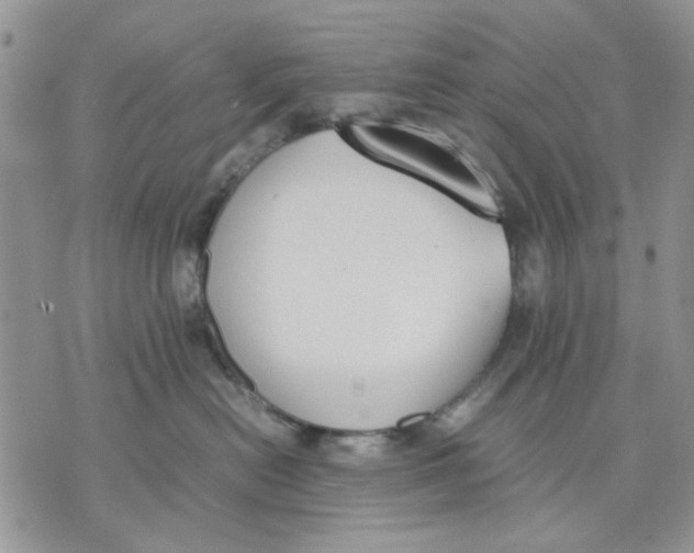 X0000070830478200607071746