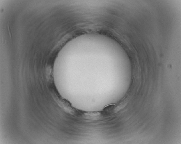 X0000070830480200607071746