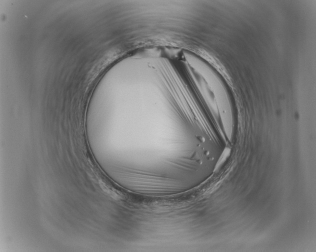 X0000070830481200607071745