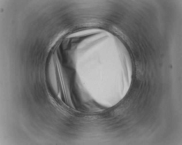 X0000070830482200607071745