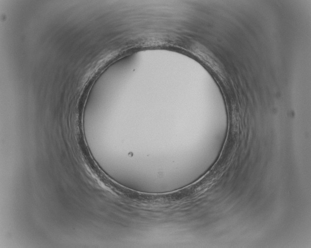 X0000070830485200607071745