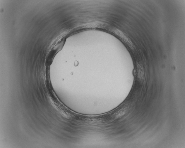 X0000070830486200607071745