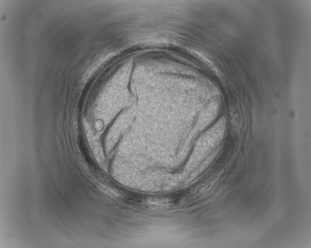 X0000070830487200607071745