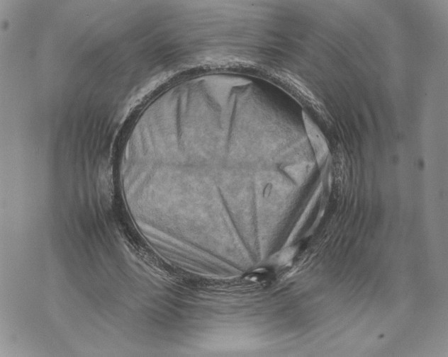 X0000070830488200607071745