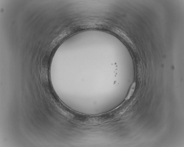 X0000070830489200607071745