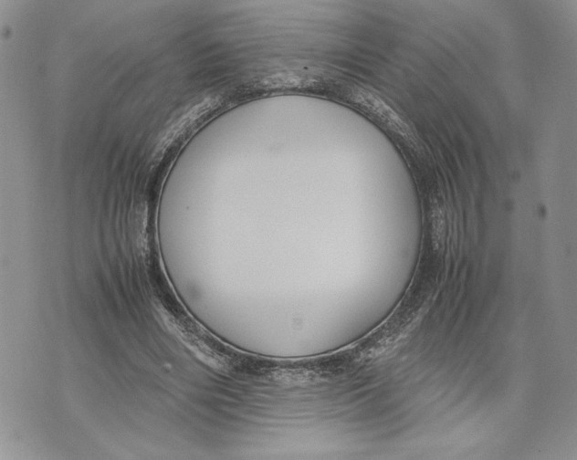 X0000070830490200607071745