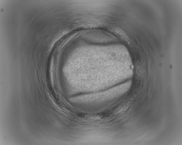 X0000070830491200607071745