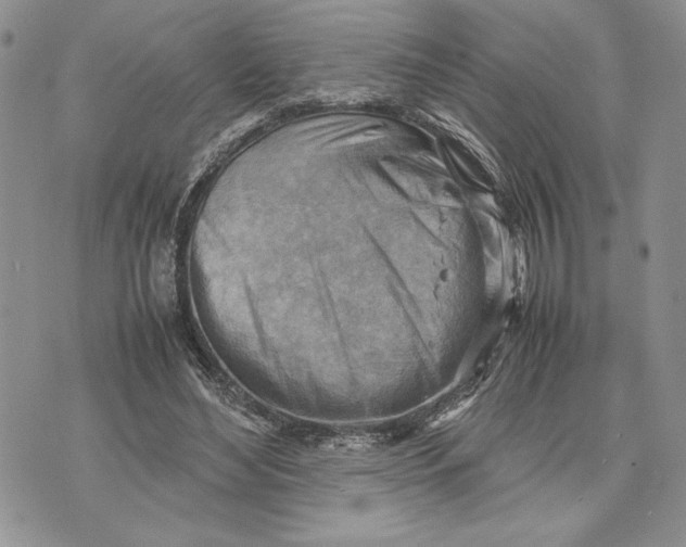 X0000070830492200607071745