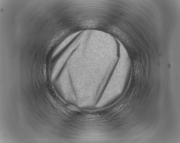 X0000070830494200607071745