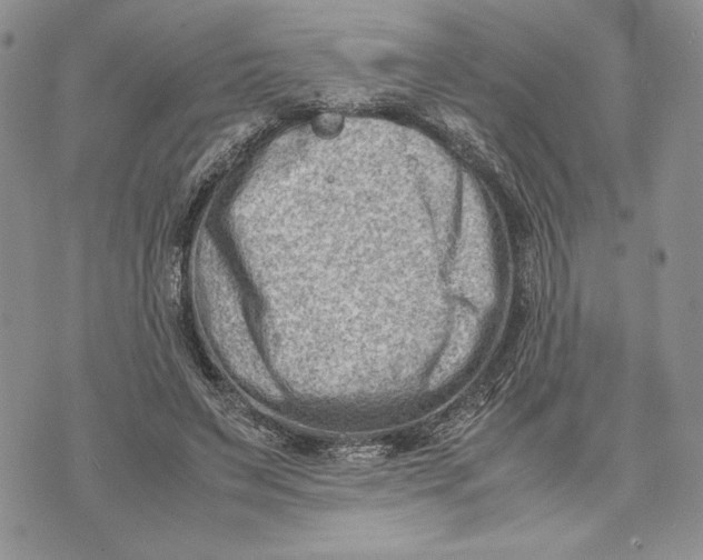 X0000070830495200607071745