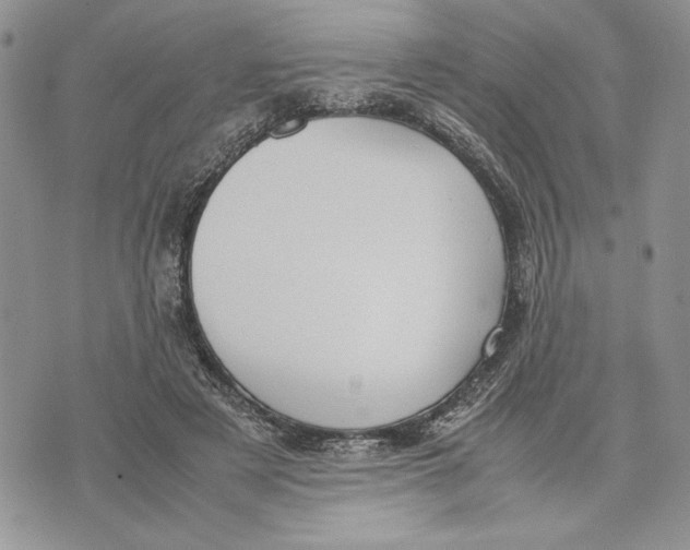 X0000070830497200607071745