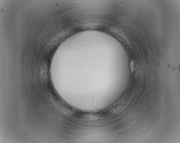 X0000070830498200607071745