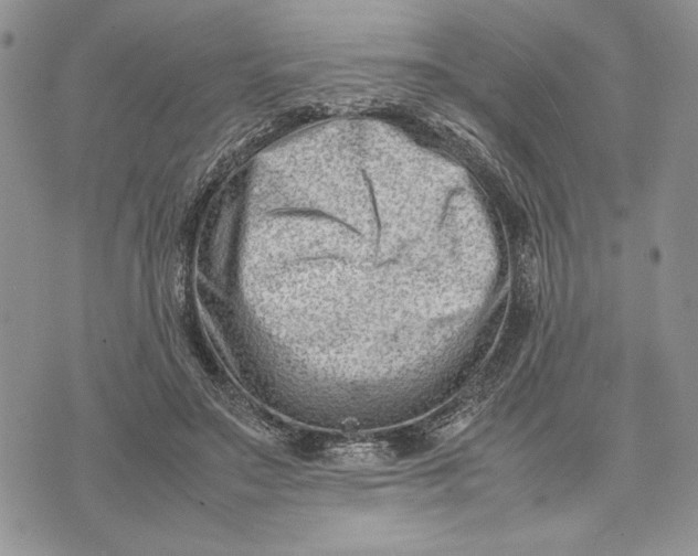 X0000070830499200607071745