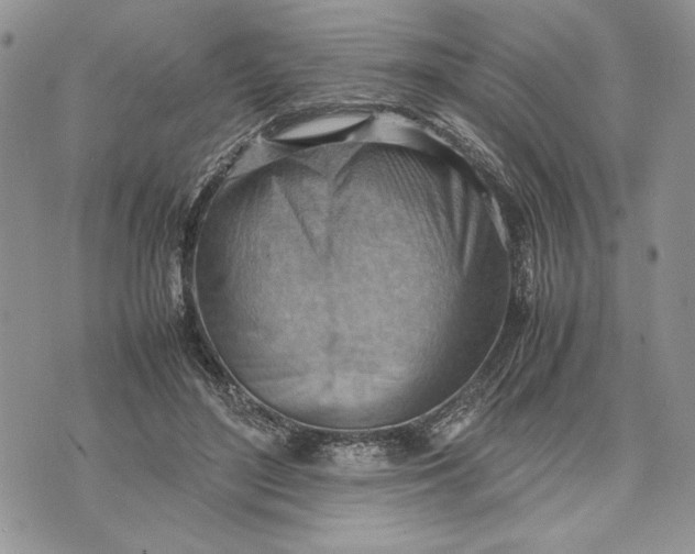 X0000070830500200607071745