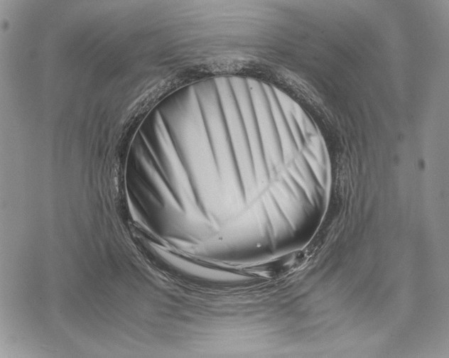 X0000070830501200607071745