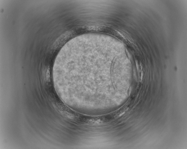 X0000070830502200607071745