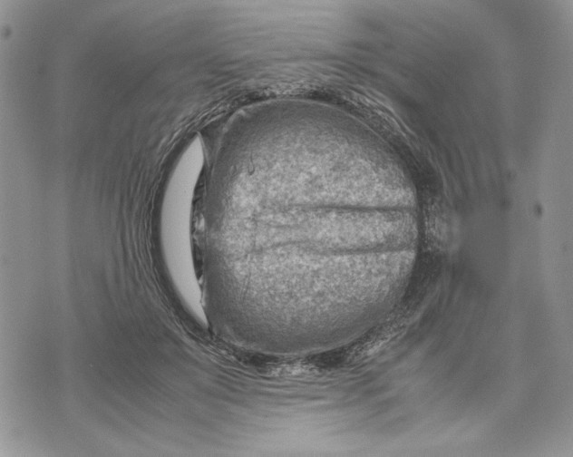 X0000070830503200607071745