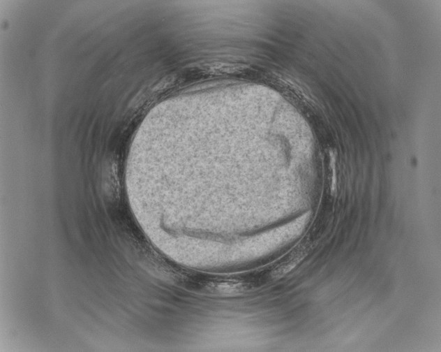 X0000070830506200607071745