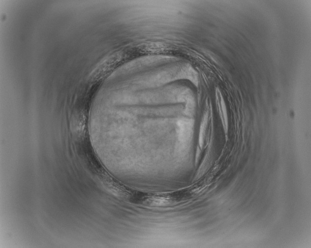 X0000070830507200607071745