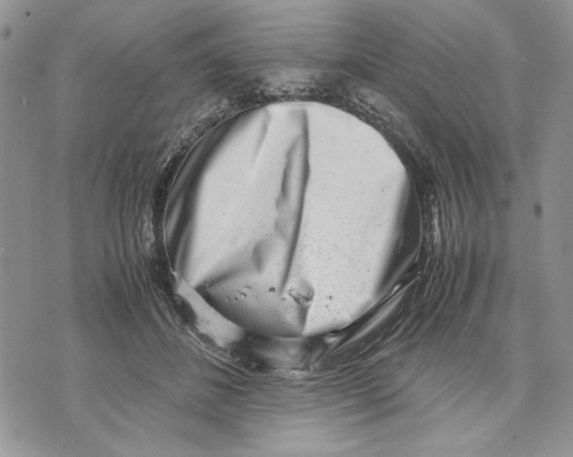 X0000070830508200607071745