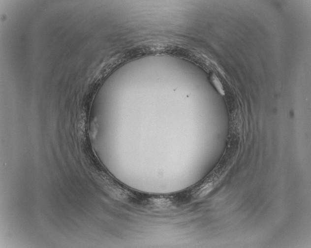 X0000070830509200607071745