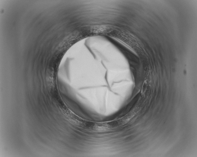 X0000070830510200607071745