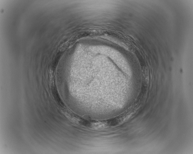 X0000070830511200607071745