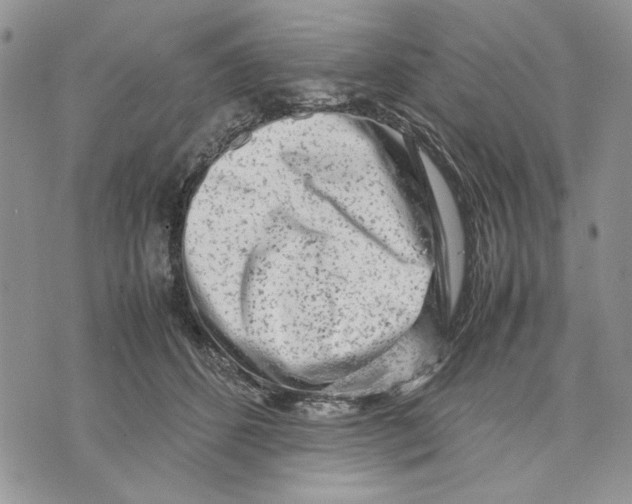 X0000070830512200607071745