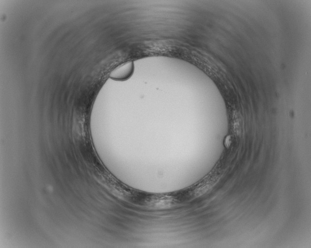 X0000070830514200607071745