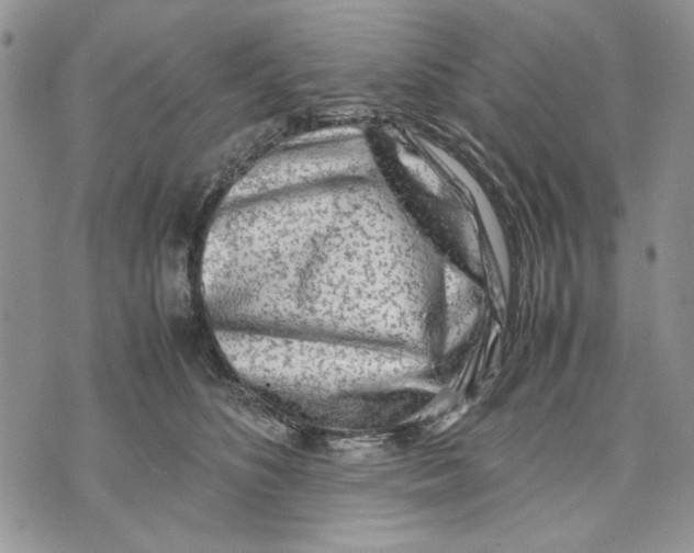 X0000070830516200607071745